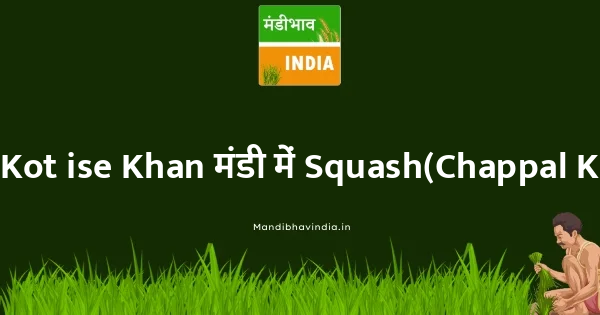 Squash(Chappal Kadoo) भाव